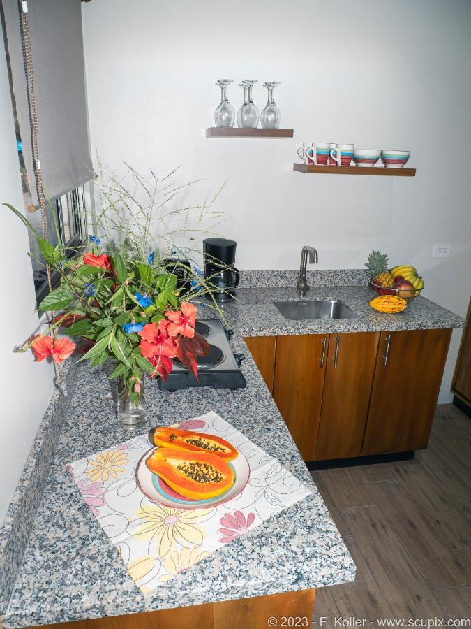Luxury Apartments Nauyaca By Paradiselodge Platanillo Esterno foto